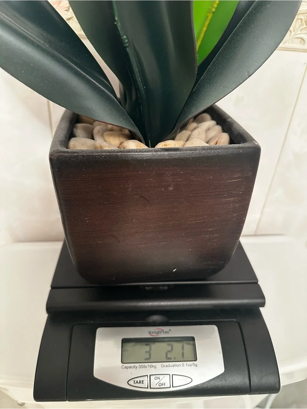 12” Agave Succulent Artificial Plant Home Decor In Black Square Planter
